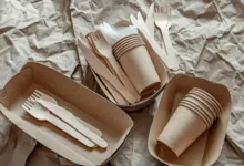 How to Choose Eco-Friendly Disposable Tableware