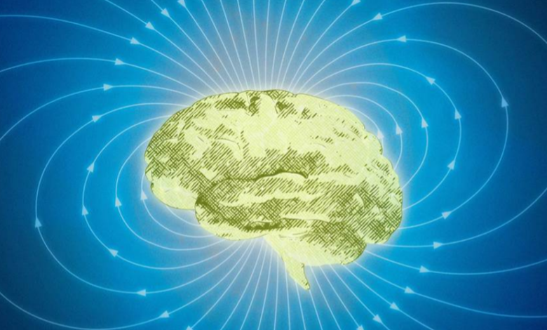 Reduce EMF Hotspots: Simple Steps for a Healthier Home